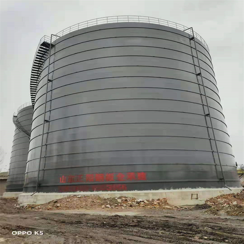 漳县3万吨大型钢板库