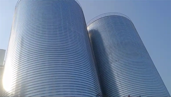 漳县2座混凝土高架卷板仓